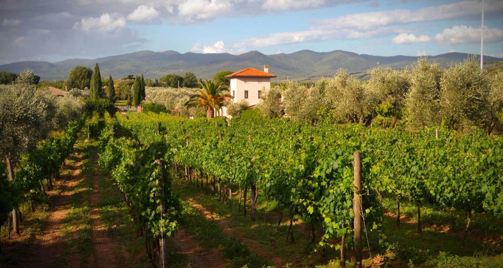 La Cipriana Villa Castagneto Carducci Buitenkant foto