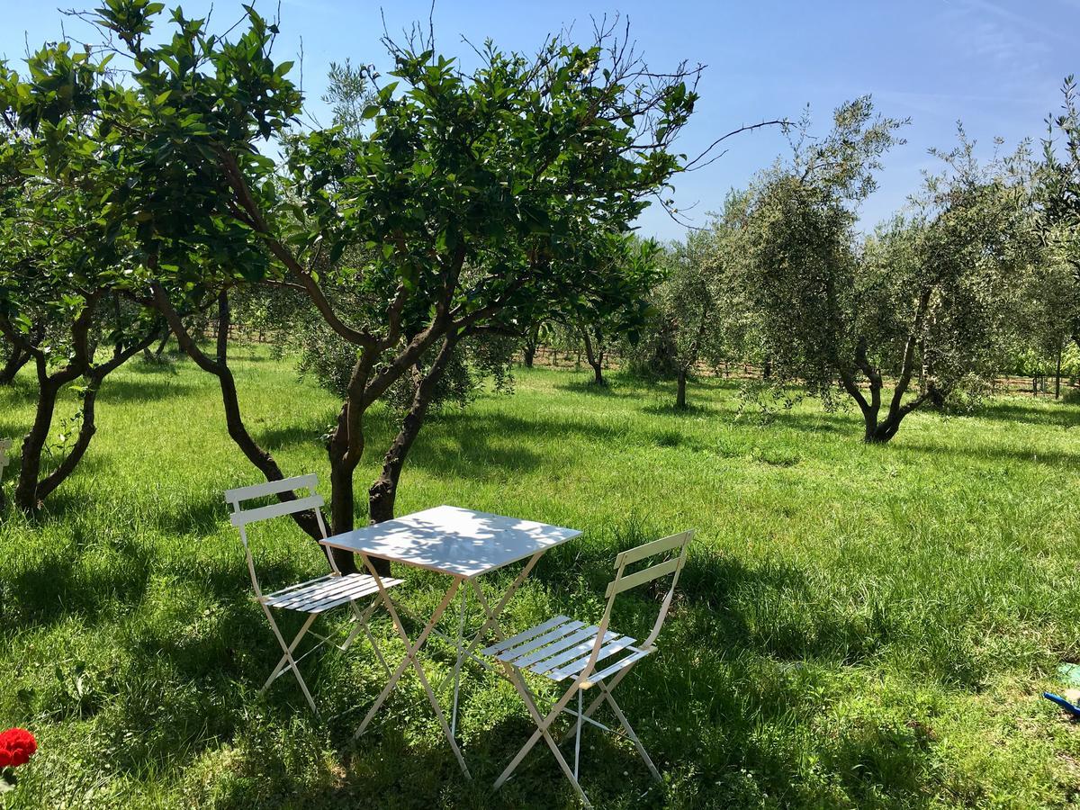 La Cipriana Villa Castagneto Carducci Buitenkant foto